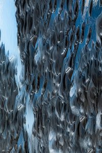 Fredy-01.abstract