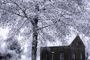 Fredy-03-Sneeuw