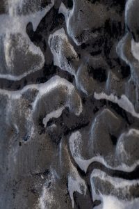 Fredy-03.abstract
