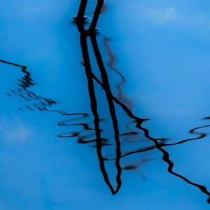 Fredy-04.abstract