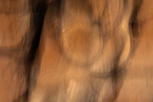 Fredy-07.abstract
