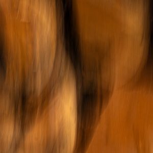 Fredy-08.abstract