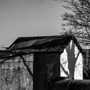 Fredy-09-Zart-wit