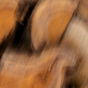 Fredy-09.abstract