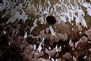 Fredy-14.abstract (1)
